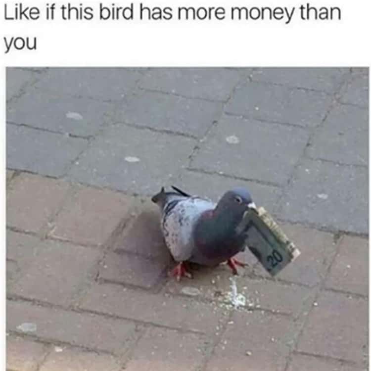 100+ Money Memes That Will Have You Rolling in 2023!
