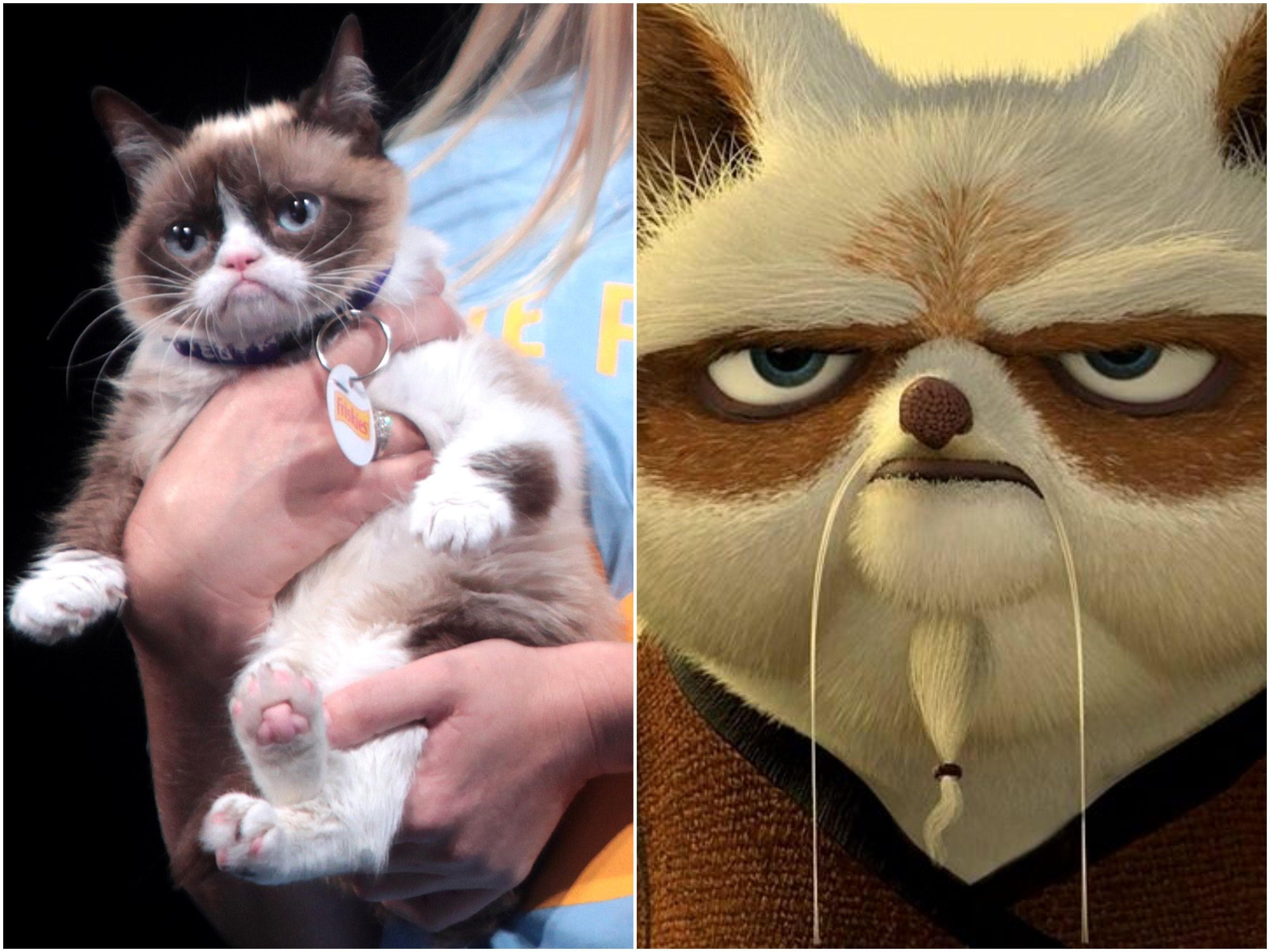 16 Real Animals That Look Like Fictional Characters