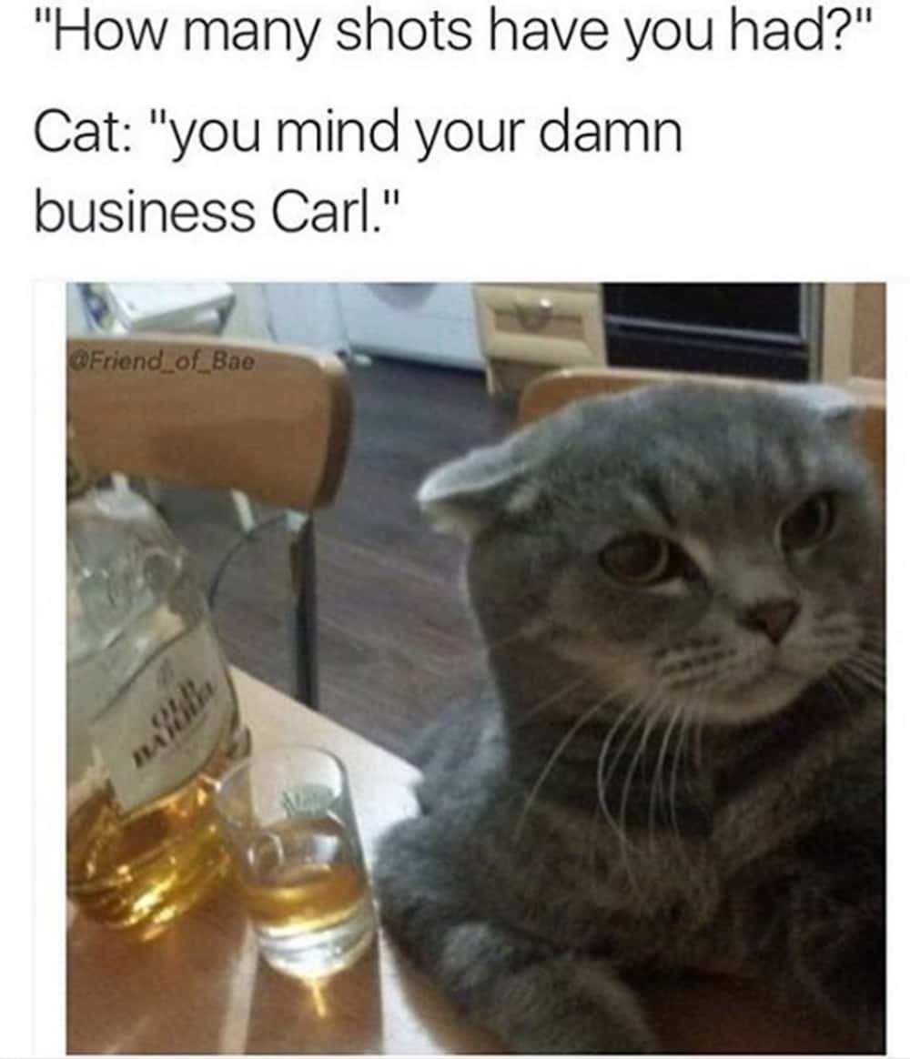 29 Funny Memes About Drinking and Getting Drunk