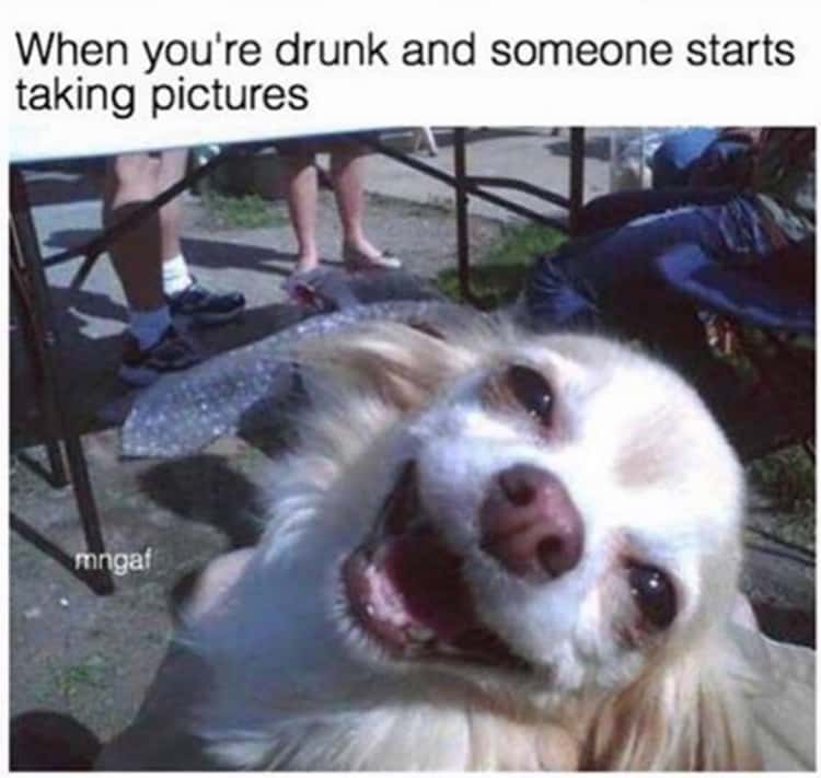 29 Funny Memes About Drinking and Getting Drunk