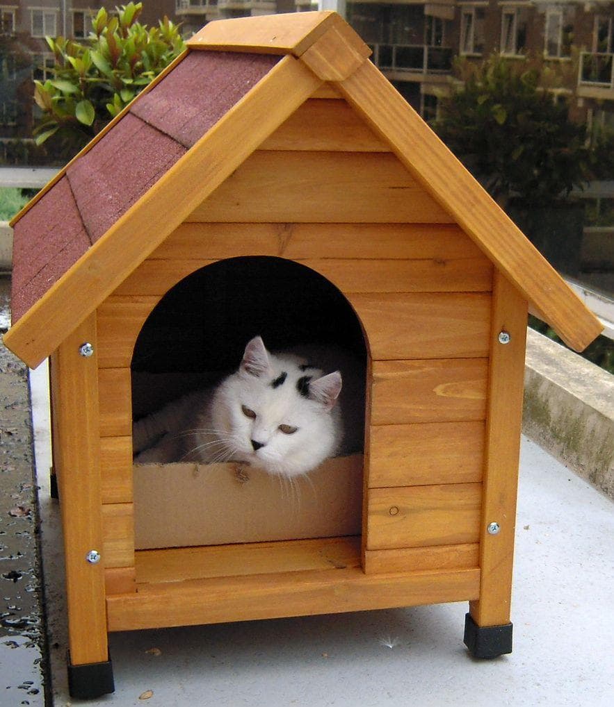 Кот в конуре. Утепленный дом для кошек. Кошачья будка. Кошачья будка. Уличный домик для кота.