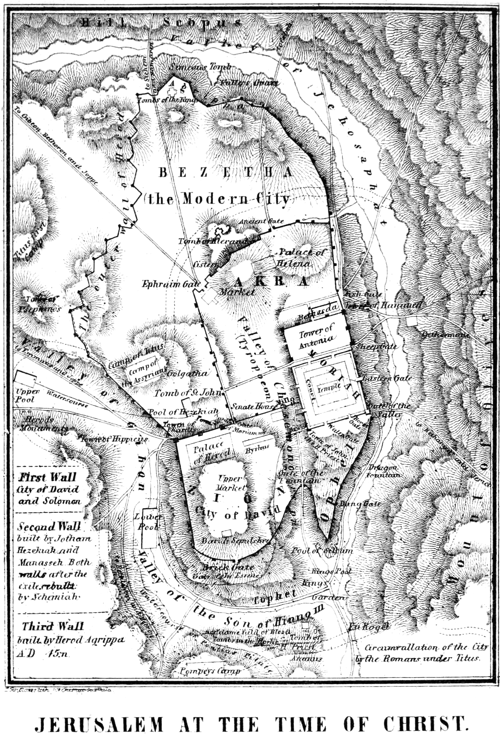 어퍼 크러스트에는 멋진 새로운 업타운 굴이 있었습니다.