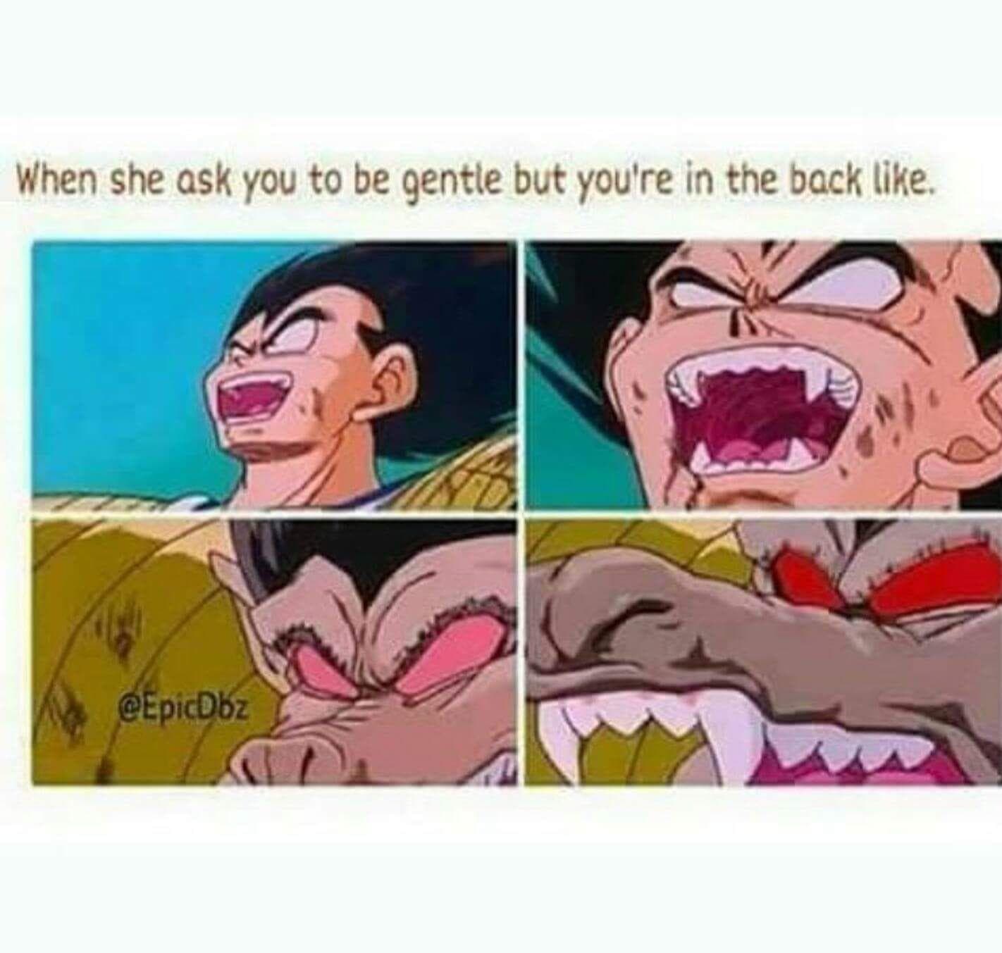 20 Dirty Dragon Ball Z Memes About Sex