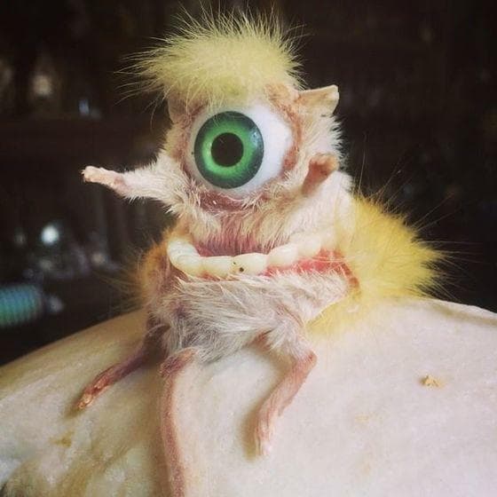 Смешное чучело