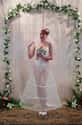 The Mosquito Net on Random Absolute Weirdest Wedding Dresses