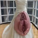 You May Kiss The Bride On These Lips on Random Absolute Weirdest Wedding Dresses