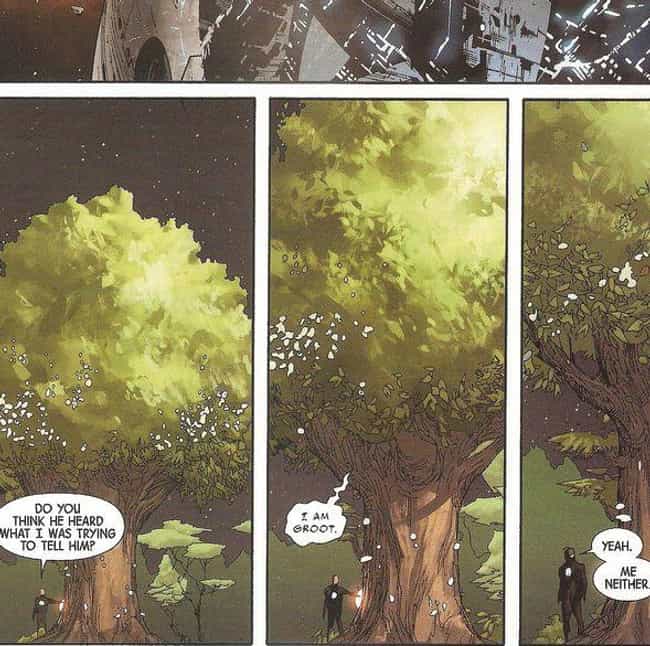 Groot Is An Actual Tree In "Avengers"