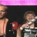 Hollywood Blonds on Random Best Tag Teams in WCW History