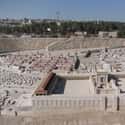 They Discovered Treasure And Knowledge While Digging Beneath Temple Mount on Random Interesting Theories Historians Have Proposed About Knights Templar