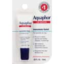 Aquaphor on Random Best Lip Balm Brands