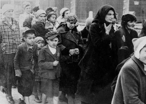 She And Her Family Were Separated Forever As Soon As They Got To Auschwitz