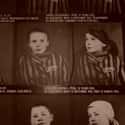 She Watched As The Angel Of Death Performed Horrific Experiments On Prisoners on Random Stories About The Angel of Auschwitz Saved Thousands of Lives By Defying Nazis