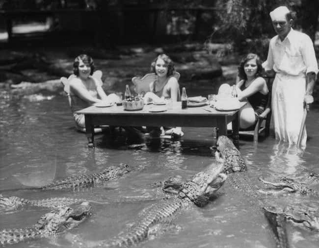 women-posing-with-alligators-at-a-gator-farm-1930s-photo-u1