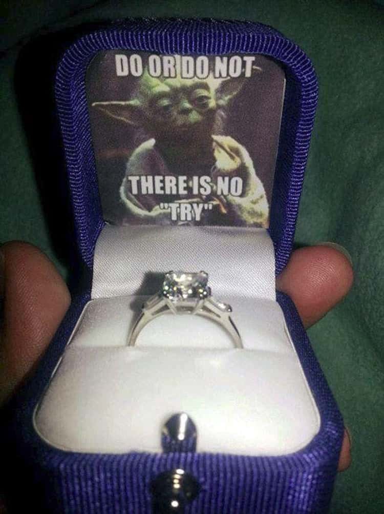 24 Nerdy Marriage Proposals That Are Just Adorable (Photos)