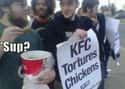Bucket Of Fun on Random Examples Of Counter Protesting Done Right