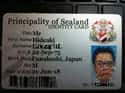 Criminals Sold Fake Sealand Documents on Random Odd Story of Sealand, The Smallest "Country" On Earth