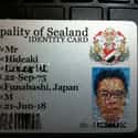 Criminals Sold Fake Sealand Documents on Random Odd Story of Sealand, The Smallest "Country" On Earth