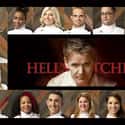Hell's Kitchen - Season 14 on Random Best Seasons of 'Hell's Kitchen'