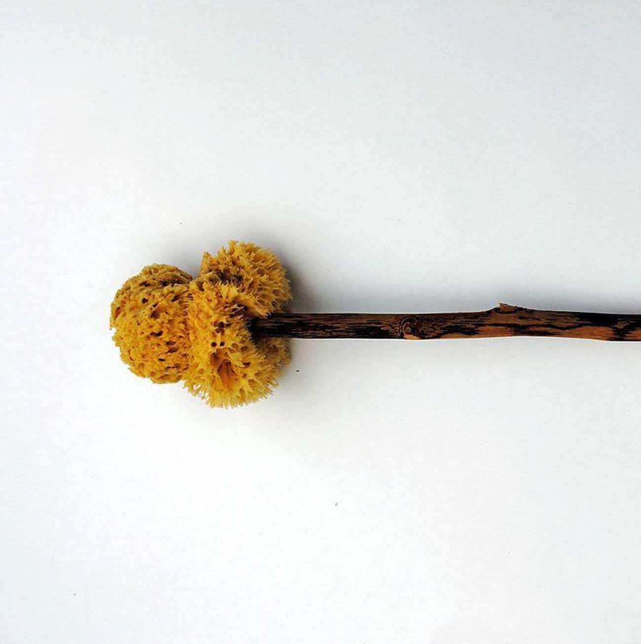 A Communal Sponge On A Stick