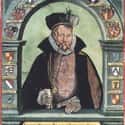 He Died From A Burst Bladder on Random Facts About Tycho Brahe, Bizarre 16th Century Astronomer Who Owned A Psychic Dwarf Slave