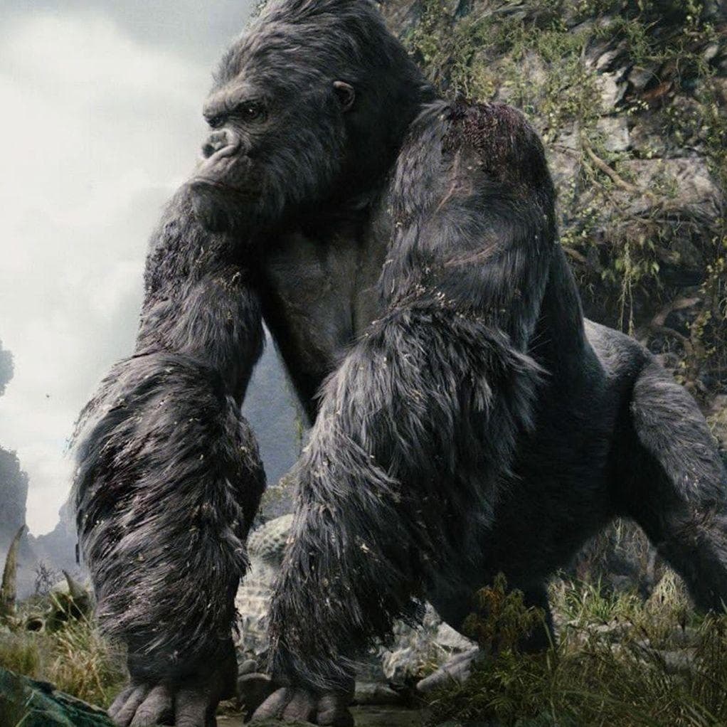 Kong: Skull Island Movie Quotes