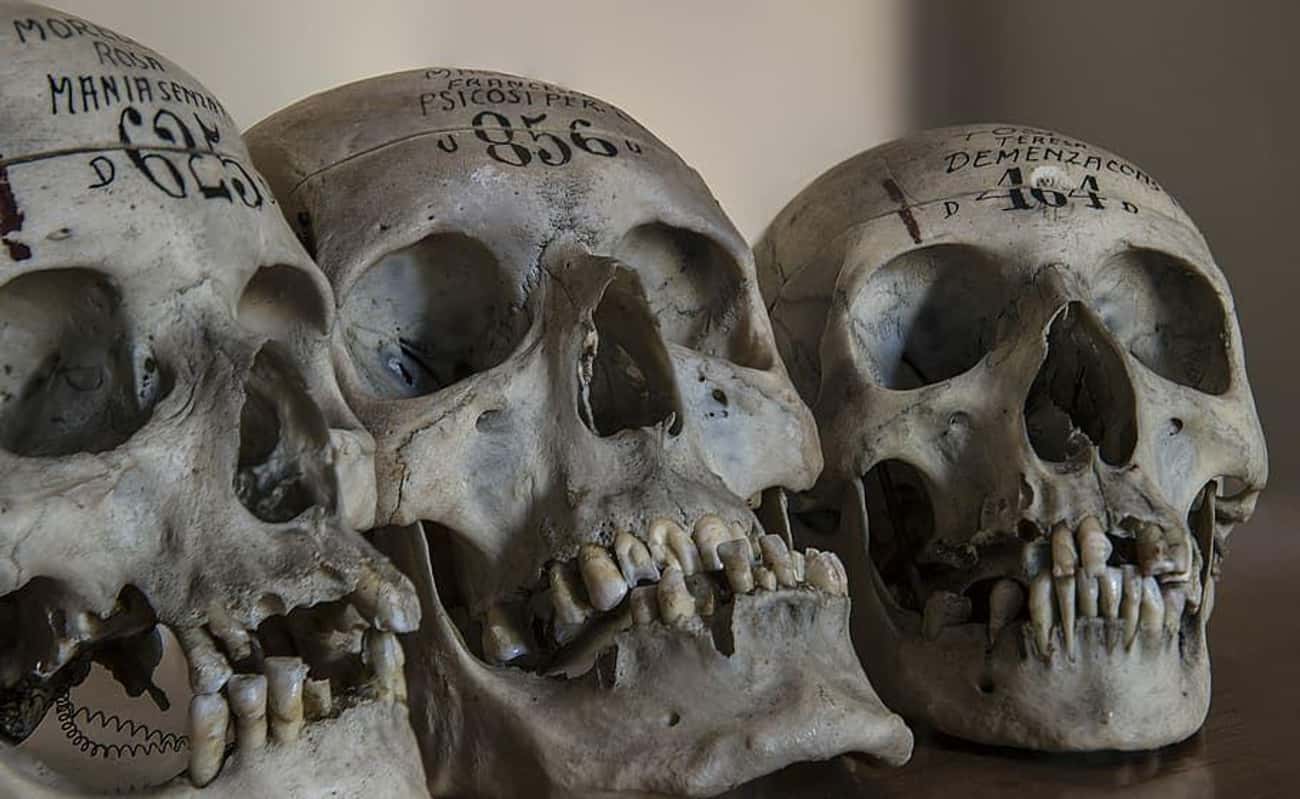Rituals Often Involve Skulls And Other Bones