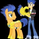 Flash Sentry on Random Best My Little Pony: Friendship Is Magic Characters