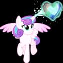 Furry Heart on Random Best My Little Pony: Friendship Is Magic Characters