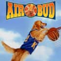 Air Bud Franchise on Random Best Live Action Film Franchises for Kids