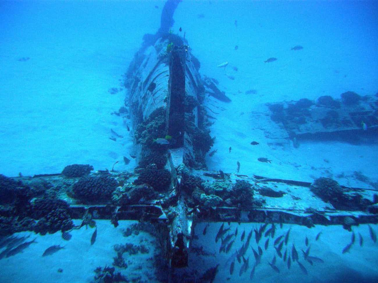 You Can Scuba Dive To Hawaii&#39;s Corsair Plane Wreck Site