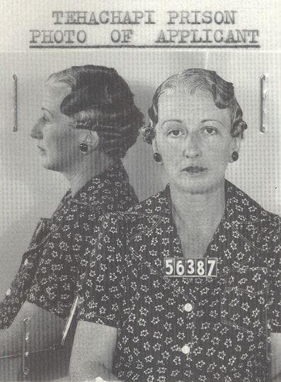 Last Murder In Madison Ct