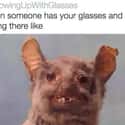 Umm... Dude? on Random Spot-On Memes About Wearing Glasses