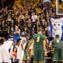 VCU: Virtual Cat University on Random Funniest College Basketball Free Throw Distraction Signs
