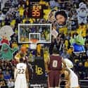 Here There Be Icons on Random Funniest College Basketball Free Throw Distraction Signs