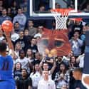 Cat Got Your Tongue? on Random Funniest College Basketball Free Throw Distraction Signs