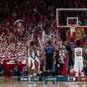 Wolfpack-ing It On on Random Funniest College Basketball Free Throw Distraction Signs