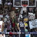 Sporting A Woody In San Diego on Random Funniest College Basketball Free Throw Distraction Signs