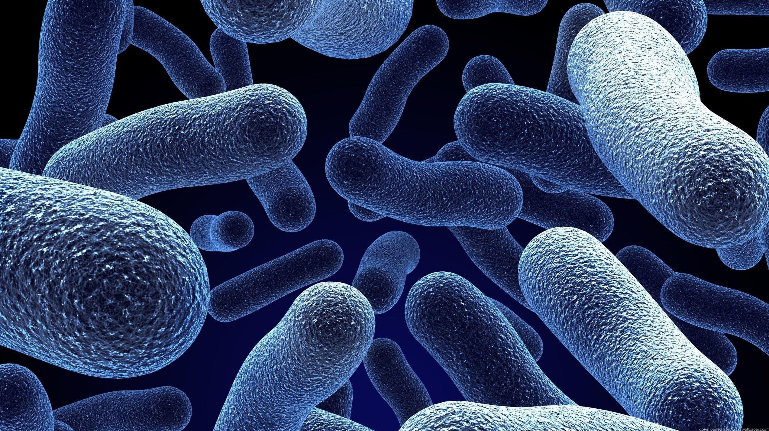 12 Disgusting Creatures That Live On Your Body