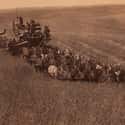 1902 – 33 Horses Pull A Combine Harvester on Random Photos That Show You Exactly How Weird History Really Was
