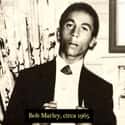 1965: Bob Marley on Random Rare Photos of World-Famous Celebrities In The 20th Century