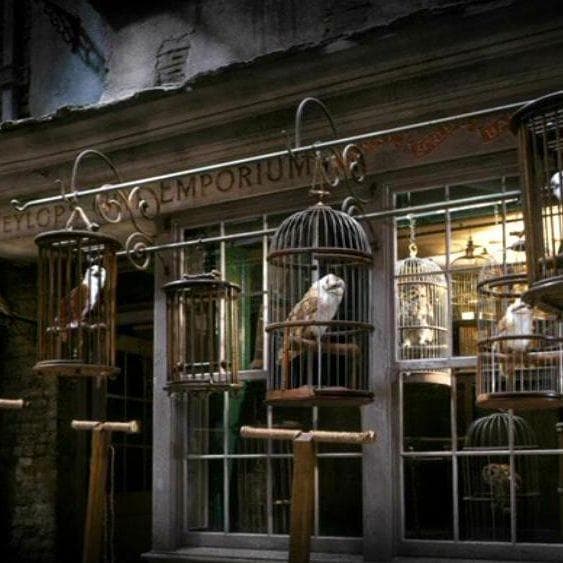 20+ Awesome Things You Can Buy In Diagon Alley (Besides Wands)
