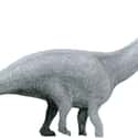 The Brontosaurus Was A Real Dinosaur on Random Laughably Wrong Things People Used To Think About Dinosaurs