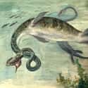 The Elasmosaurus Had A Snake Neck on Random Laughably Wrong Things People Used To Think About Dinosaurs