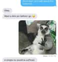 Monkey See, Monkey Don't on Random Hilarious Desperate Texts From Exes