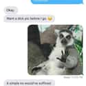 Monkey See, Monkey Don't on Random Hilarious Desperate Texts From Exes