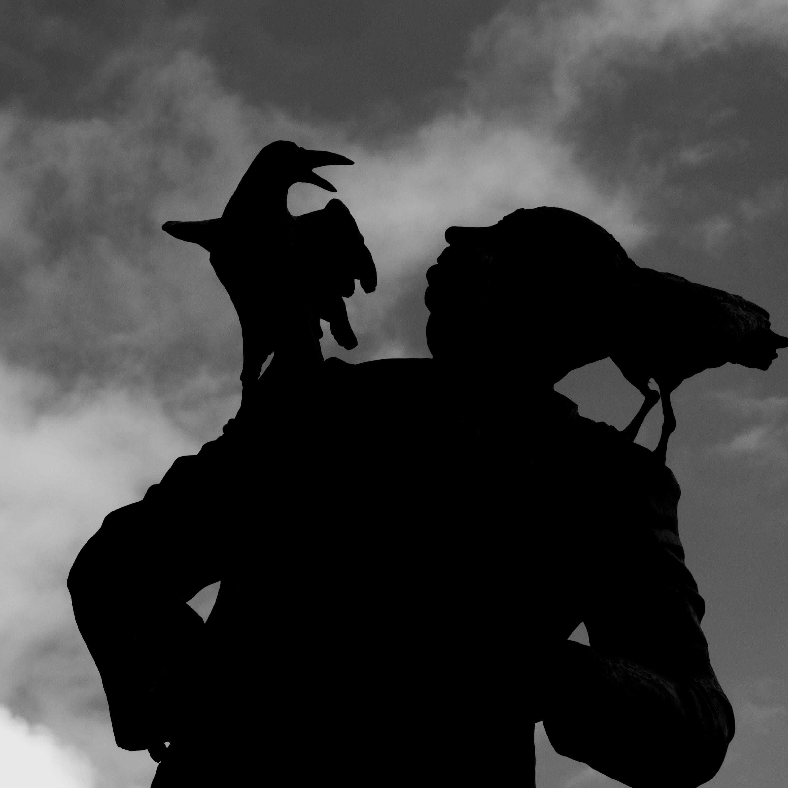 16 Unnerving Facts About Corvids Most People Don't Know