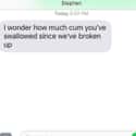 Tons, And None Of It's Yours! on Random Most Spiteful Texts From Exes