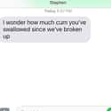 Tons, And None Of It's Yours! on Random Most Spiteful Texts From Exes