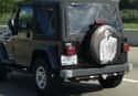 Giddy Up! on Random Hilarious Tire Covers Spotted On The Open Road