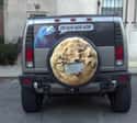 One Smart Cookie on Random Hilarious Tire Covers Spotted On The Open Road